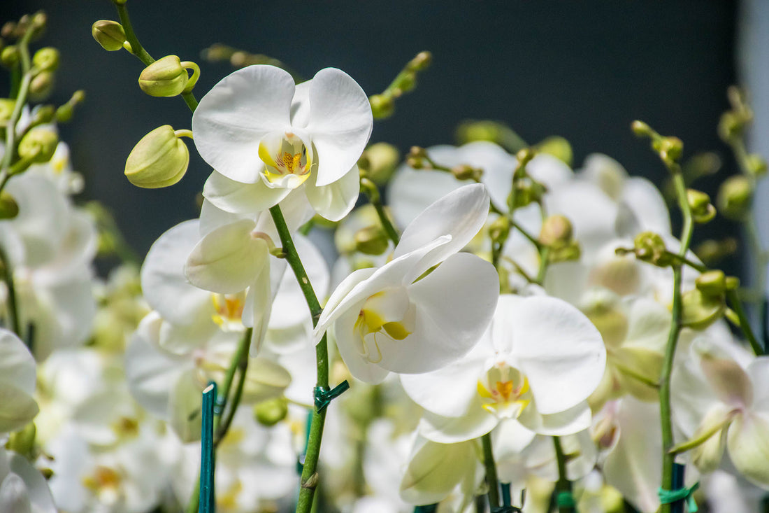 Welcome Nature lovers....