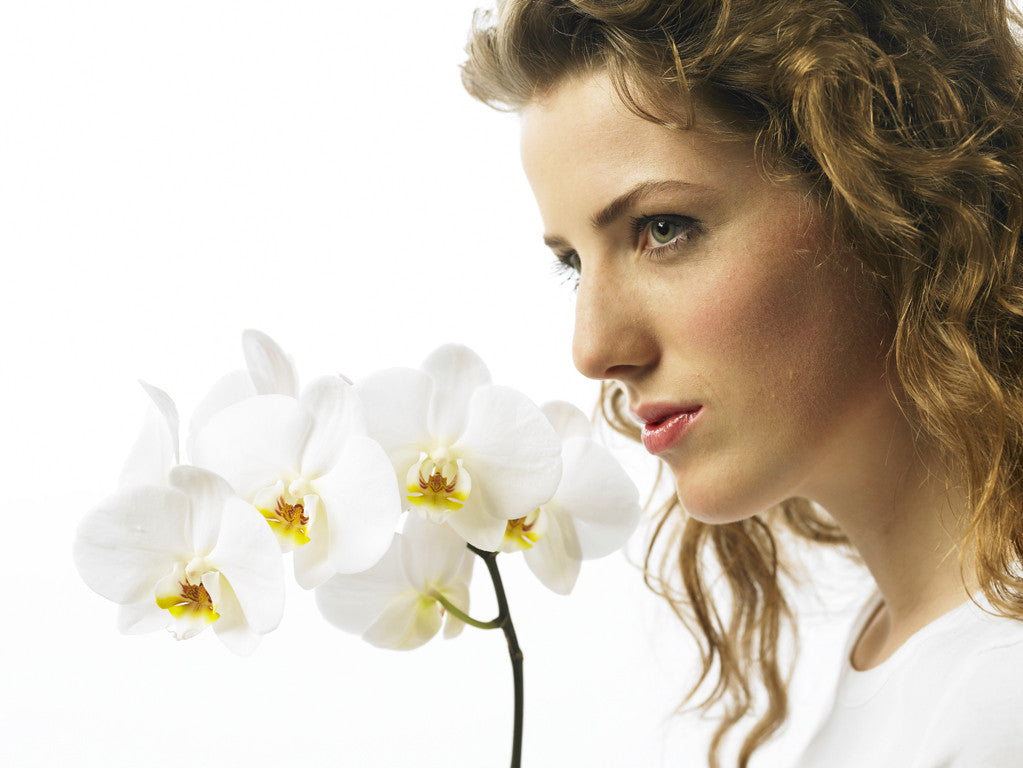 Orquídea Classic White - 2 Spike/Espiga