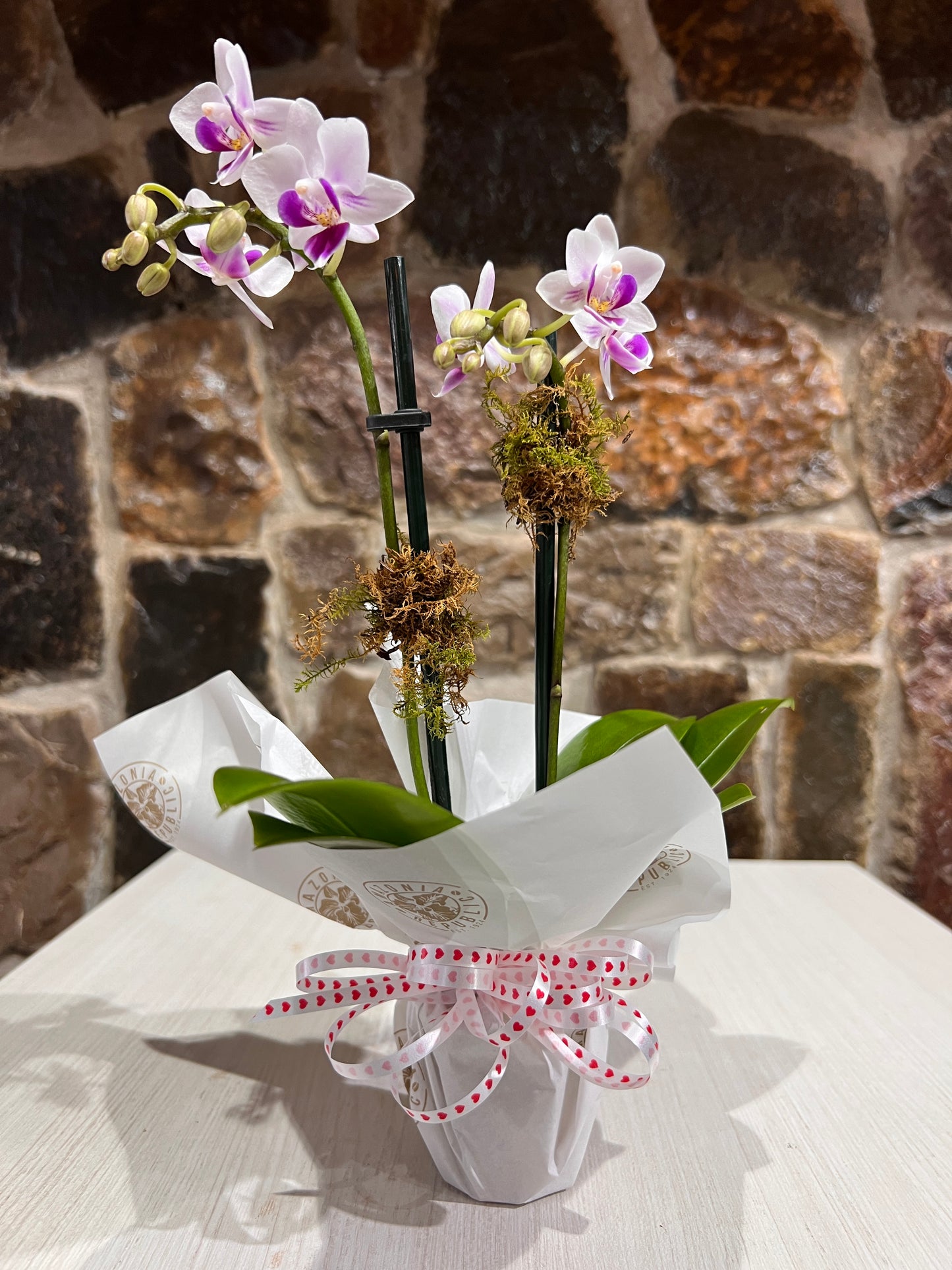 Arreglo Orquídea Petit