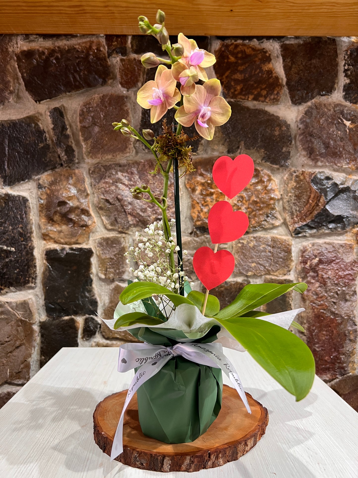 Arreglo Orquídea Phalaenopsis Floria